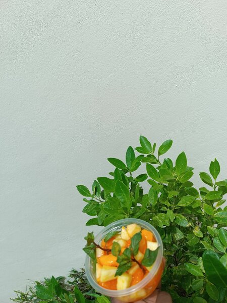 Salade de fruits