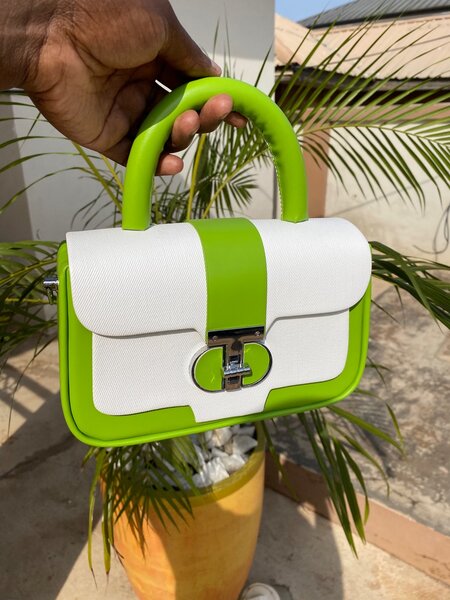 Luxury ladies bag
