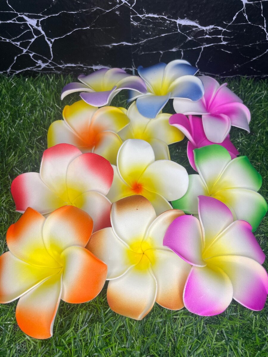 Fleurs Hawaiianes Colorées