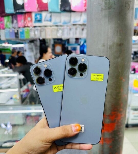 iPhone 13 Pro Max