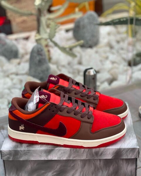 NIKE SB