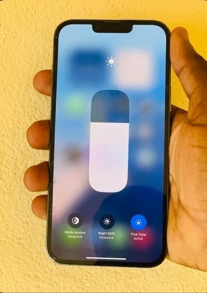 iPhone 13 Pro Max