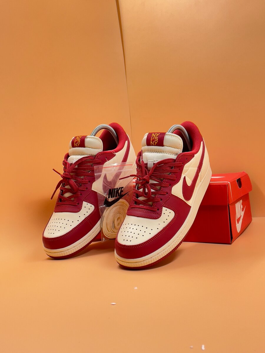 NIKE TEMINATOR