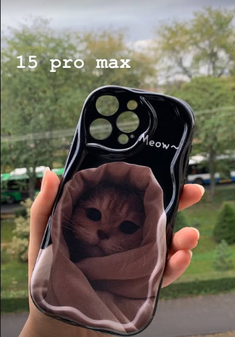 Чехол