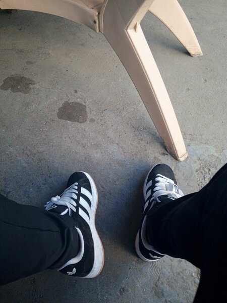Adidas campus