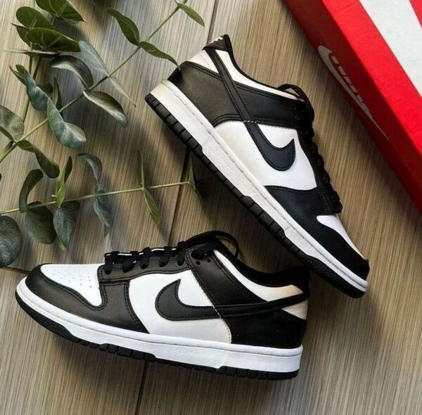 Nike SB blanc noir