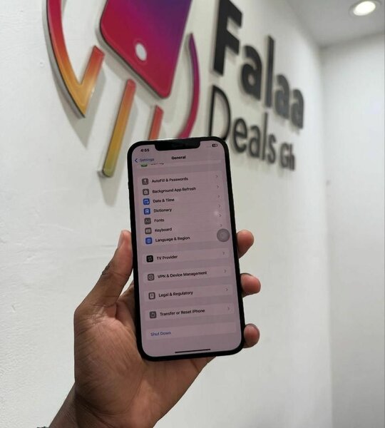 iPhone 12 pro max