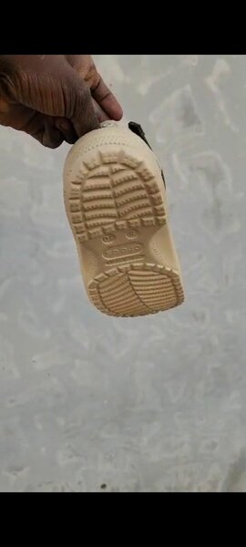 Classic crocs