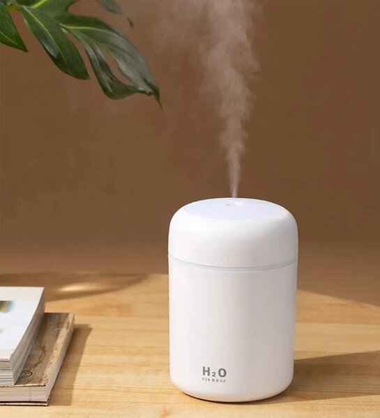 Mini humidificateur LED portable