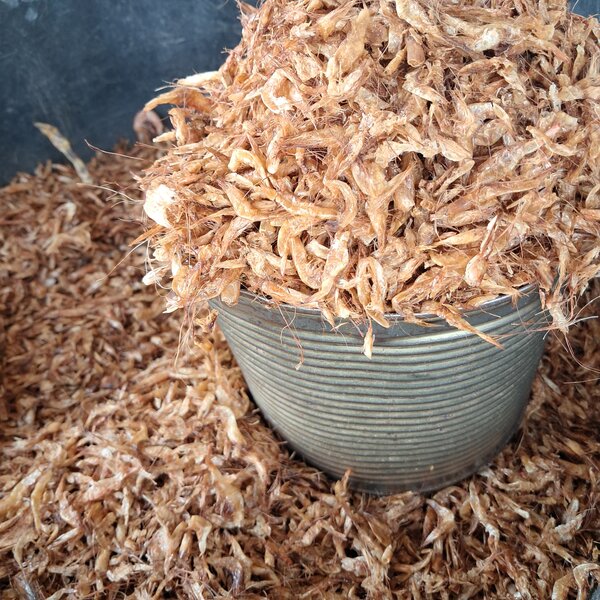Crayfish