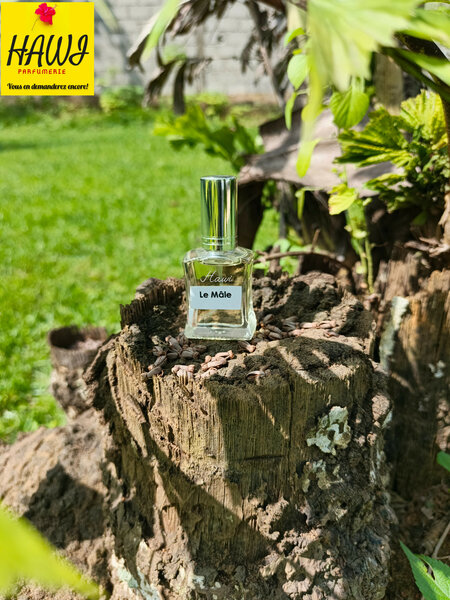 Parfum Le Mâle Intense 15ml
