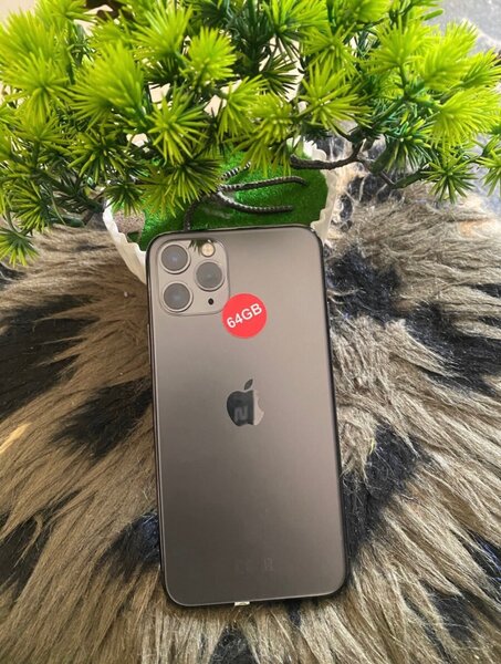 iPhone 11 Pro