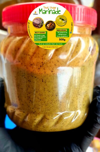 MARINADE TOUT USAGE