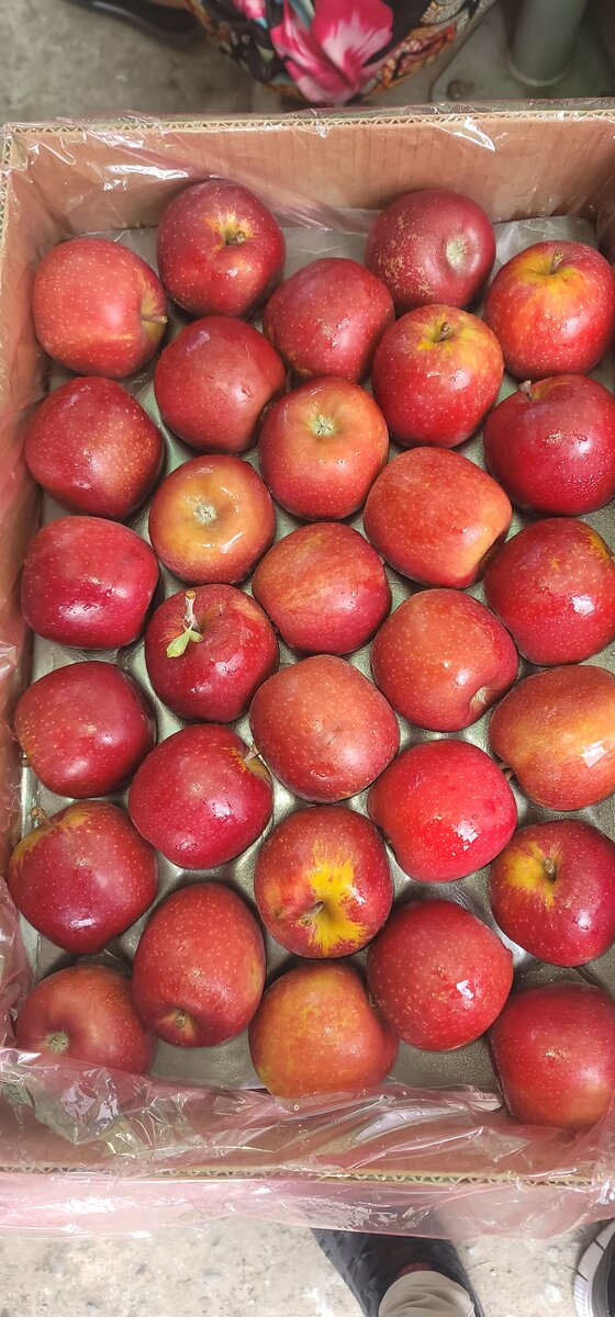 Red Apple