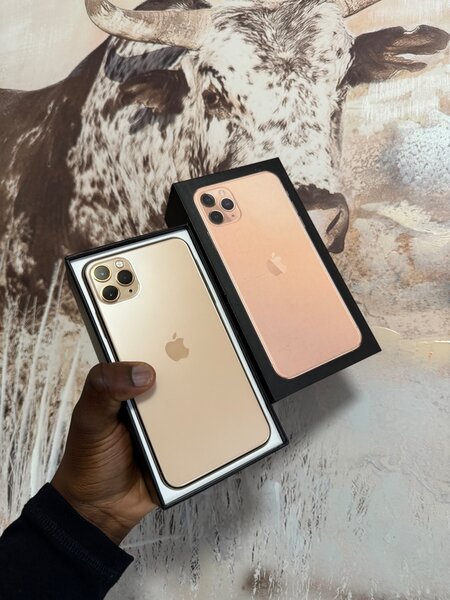 iPhone 11pro max