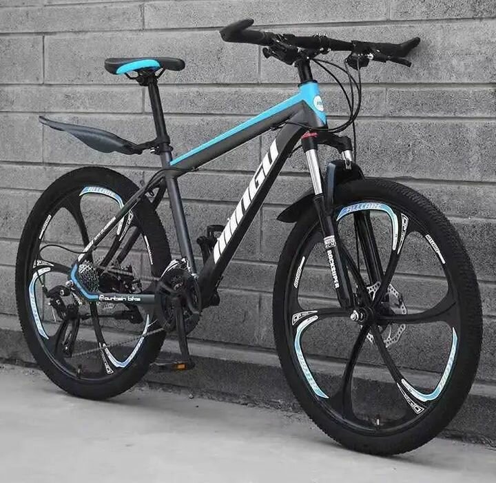 Vélo adulte