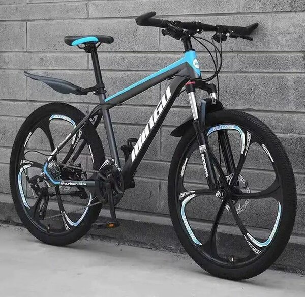 Vélo adulte