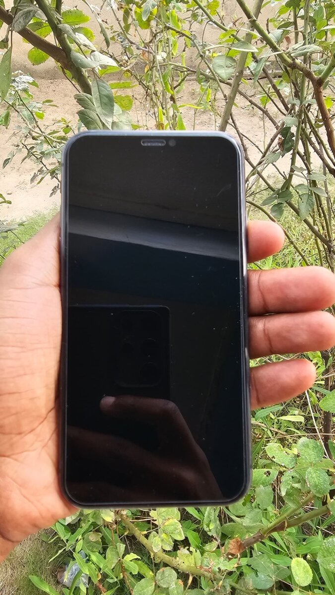 iPhone 11