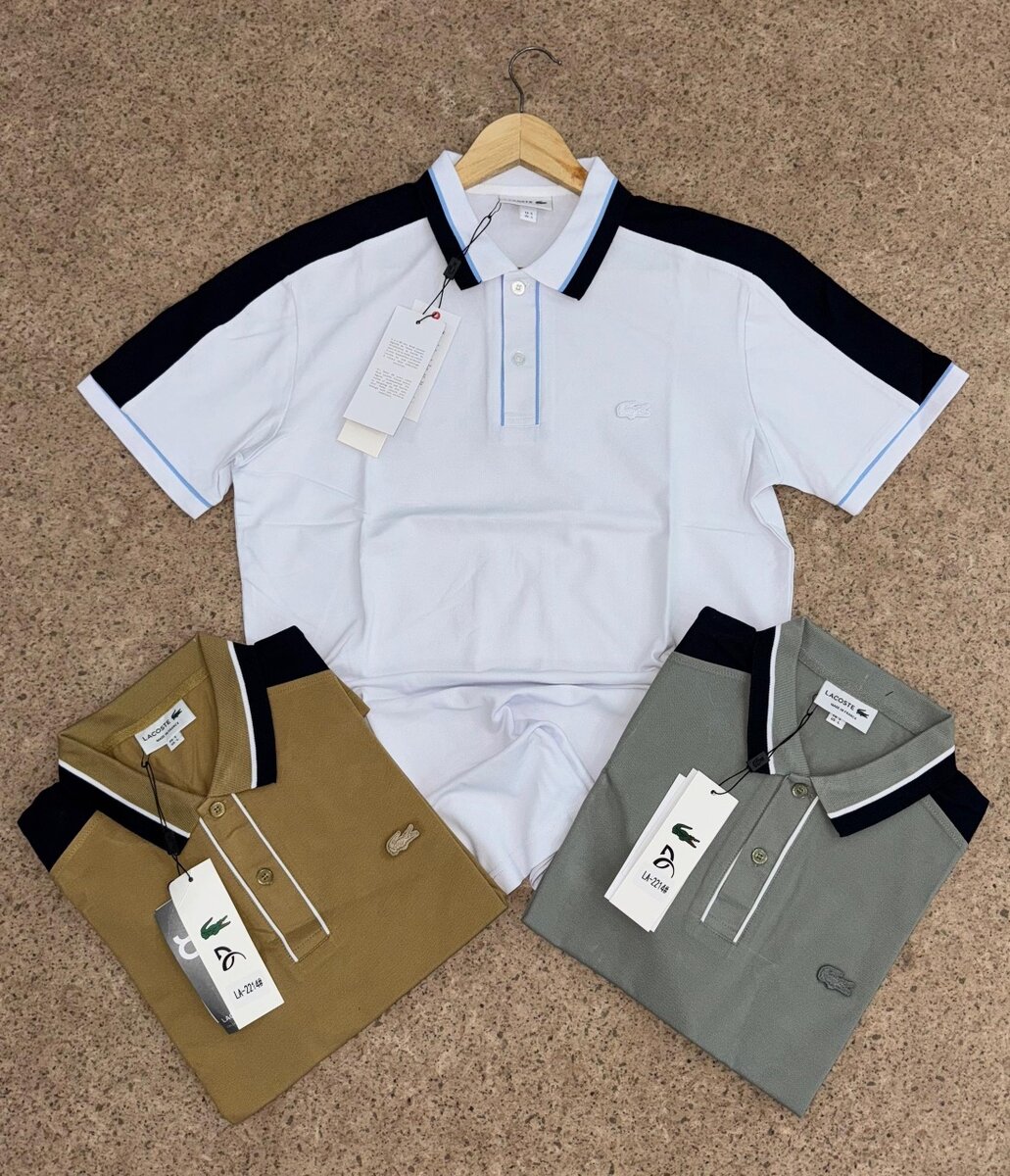Polo Homme