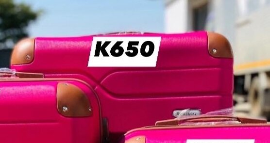 TRAVELING BAGS