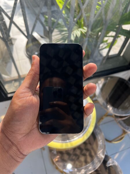 iPhone 13 Pro CE