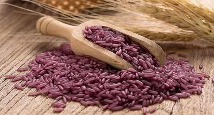 Riz violet bio 700g*5