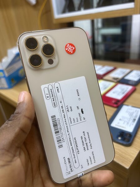 iPhone 12 Pro Max