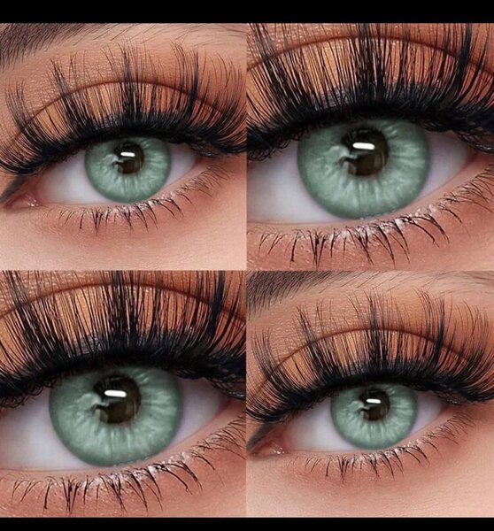 Lentille