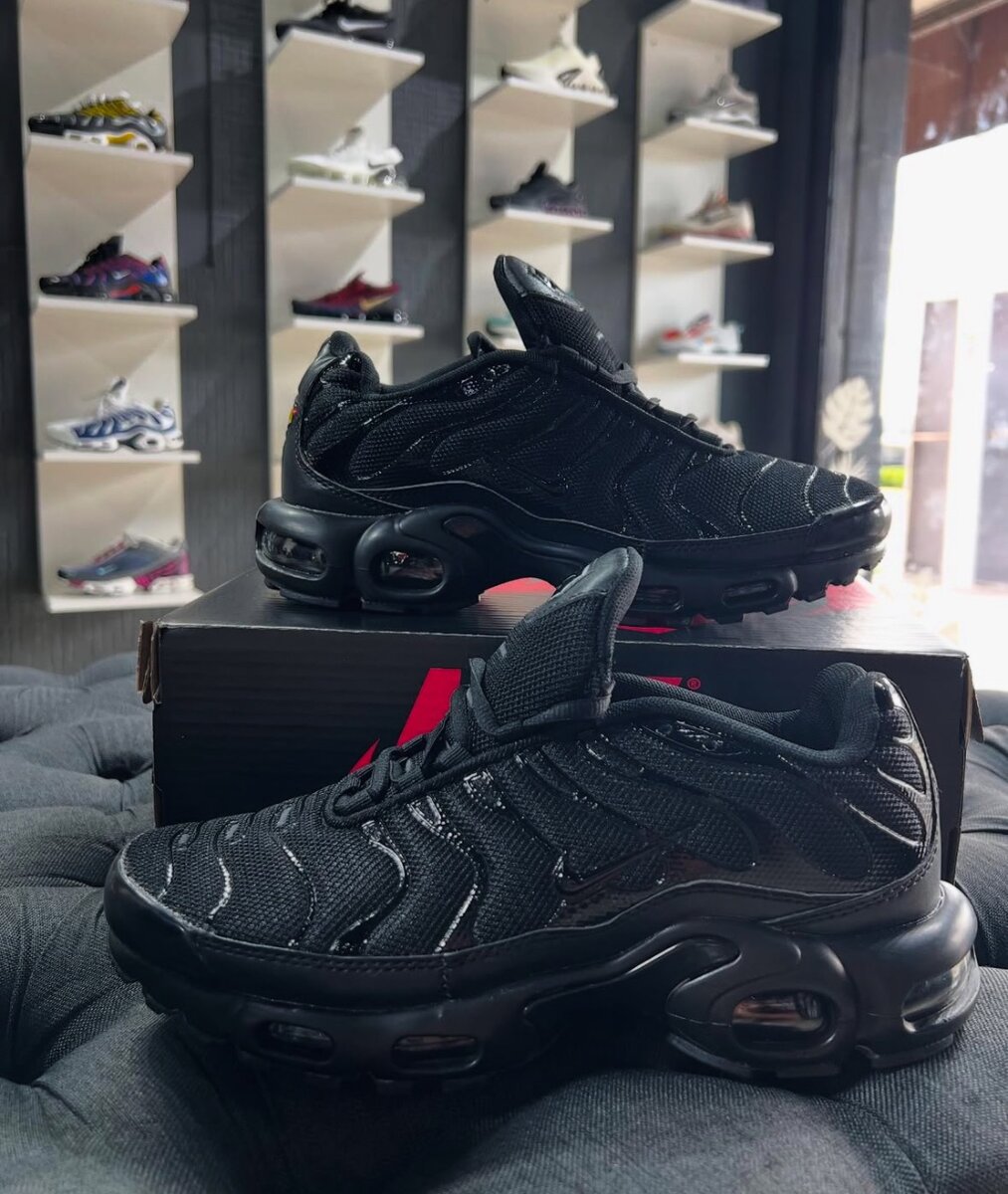 Basket Nike tn authentique avec sa boîte