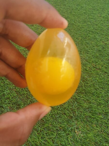 Savon oeuf Ginseng