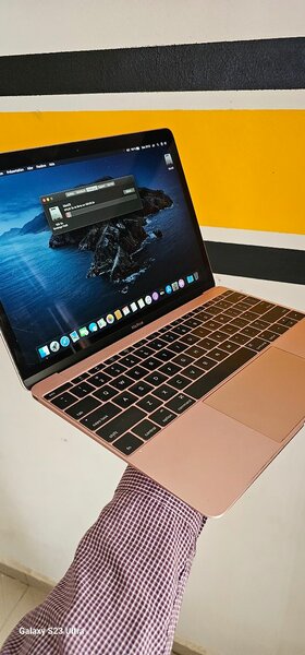 Macbook model A1534 2017