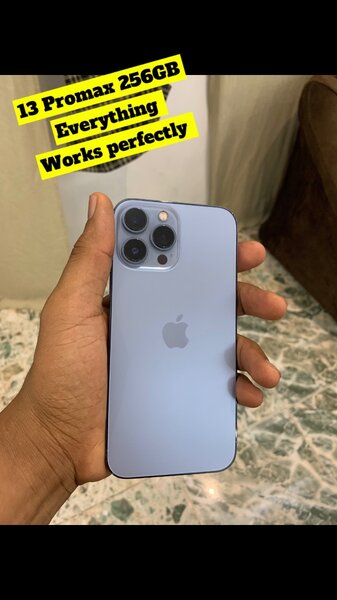 13 pro max