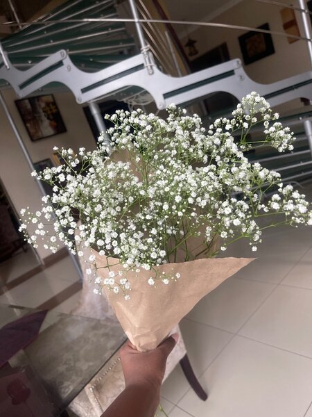 Bouquet
