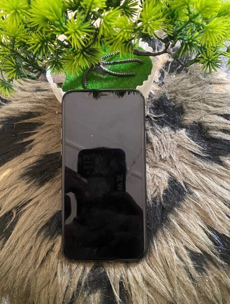 iPhone 11 Pro