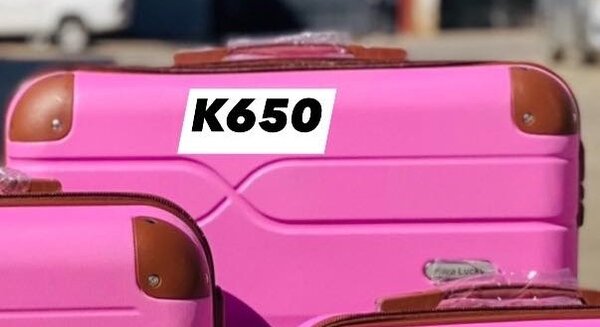 TRAVELING BAGS