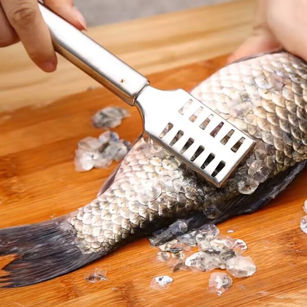 Fish scrapper