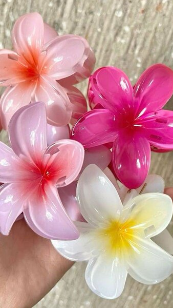 Barrette cheveux 2 à 1500fr