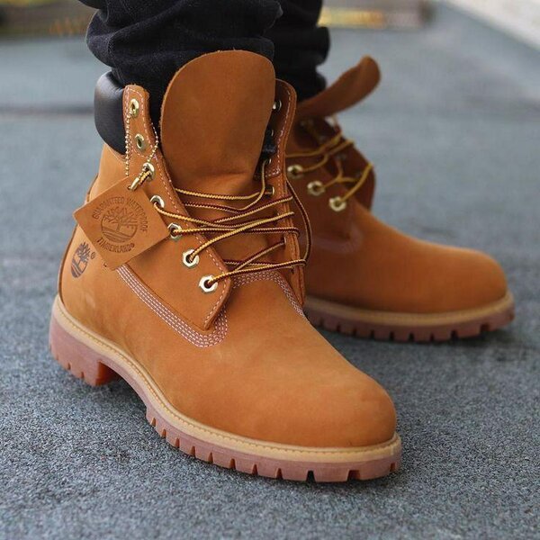 Timberland homme 6 premium