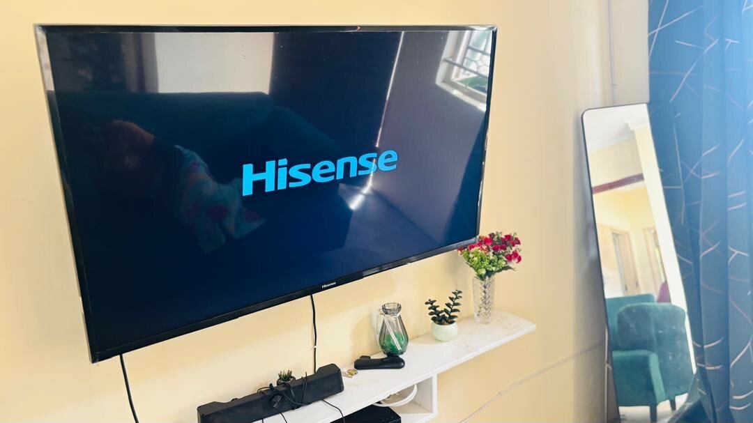 Television