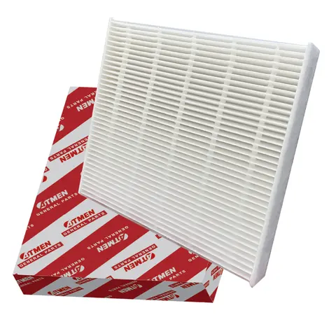 Carbin filter