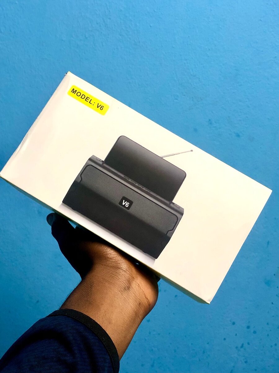 V6 speaker