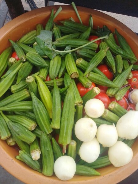 Vegetables