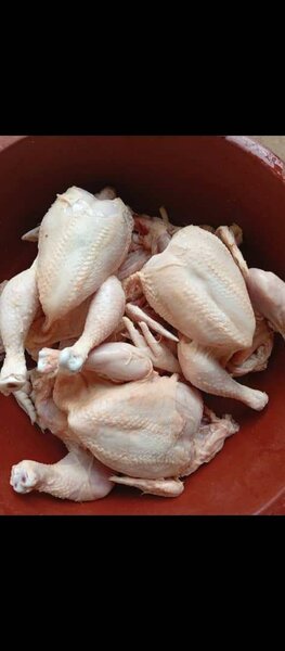 Poulets
