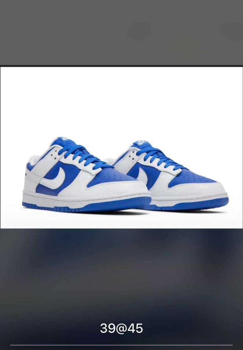 Nike sb