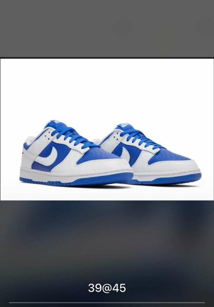 Nike sb