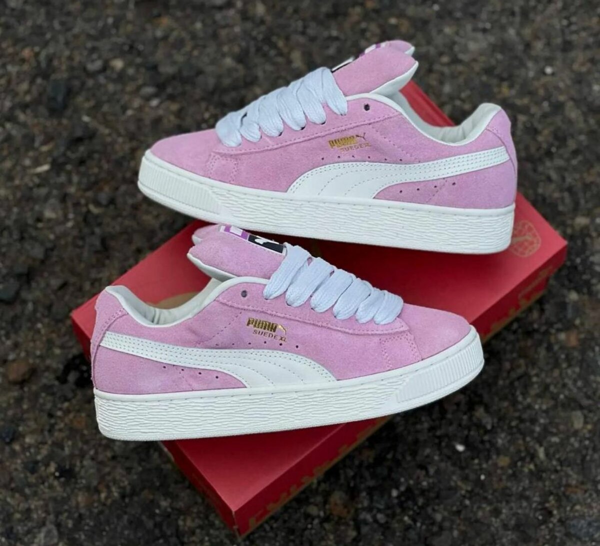 Puma suede roses