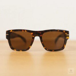 Sunglass