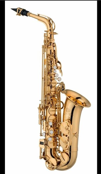 Saxophone Professionnel
