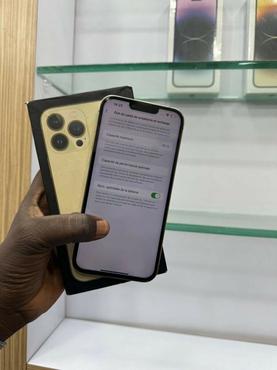 iPhone 13 Pro Max