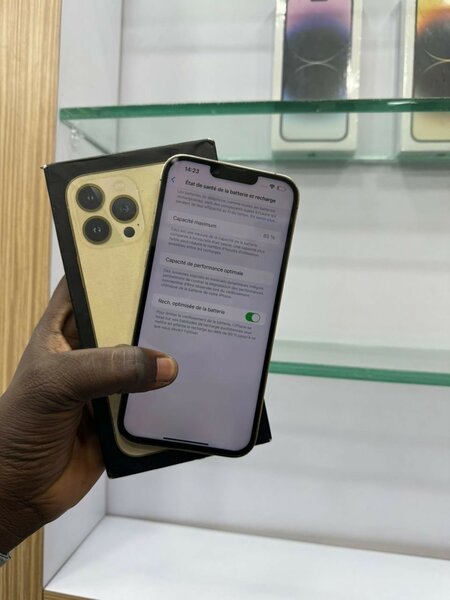 iPhone 13 Pro Max